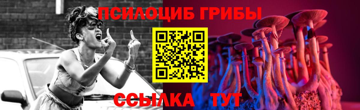 Галлюциногенные грибы прущие грибы  Вход с VPN  Качканар 